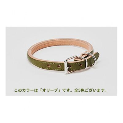 ふるさと納税 姫路市 [53657043]good collar 5号 オリーブ