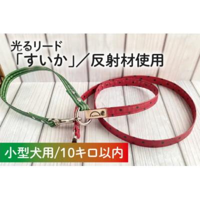 ふるさと納税 阿見町 [小型犬用10kgまで]光るリード「すいか」(40-13)
