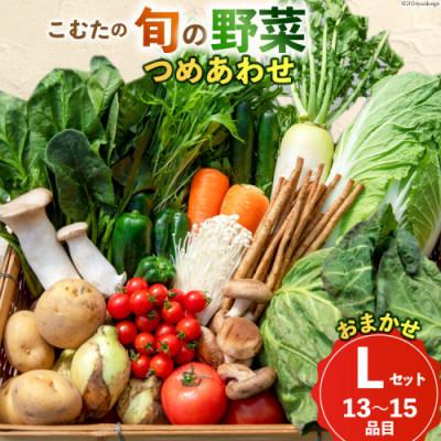 ふるさと納税 島原市 [10〜5月限定出荷]こむたの旬の野菜つめあわせ(13〜15品目)おまかせLセット