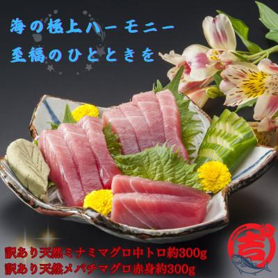 ふるさと納税 館山市 [訳あり]天然ミナミマグロ中トロ&amp;天然メバチマグロ赤身(それぞれ約300g)