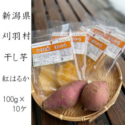 ふるさと納税 刈羽村 とうりんぼ産 干し芋 100g×10パック