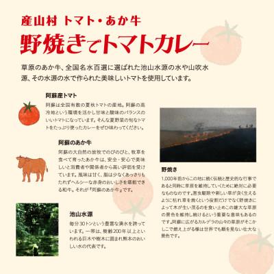ふるさと納税 産山村 産山村・トマト・あか牛　　野焼きでトマトカレー　180ml×3 |  | 01
