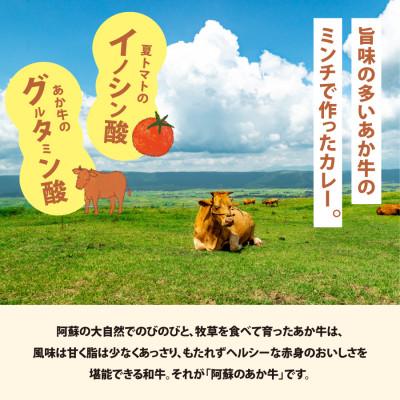 ふるさと納税 産山村 産山村・トマト・あか牛　　野焼きでトマトカレー　180ml×3 |  | 03