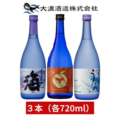 ふるさと納税 鹿屋市 [鹿児島県]銘酒の代表生産地大隅 大海酒造720ml 三種セット(海・うみ・アップルランス)2454