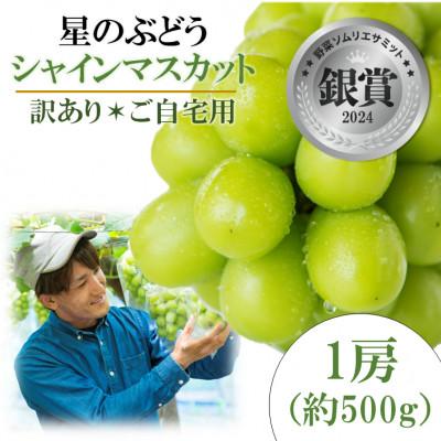 ふるさと納税 雲南市 令和8年夏から順次発送 島根県産星のぶどう シャインマスカット1房(約500g)[訳あり・ご自宅用]