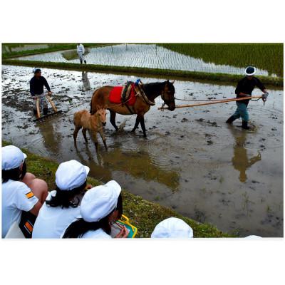 ふるさと納税 古殿町 [返礼品なし]人材育成事業