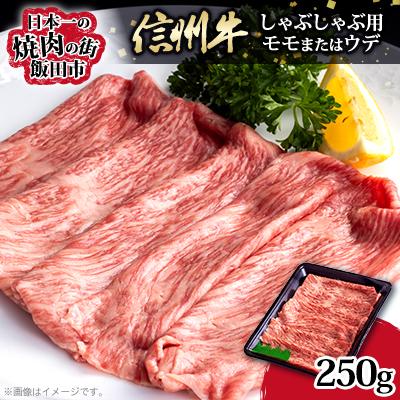 ふるさと納税 飯田市 [たかどや牧場産黒毛和牛]信州牛しゃぶしゃぶ(モモまたはウデ) 250g