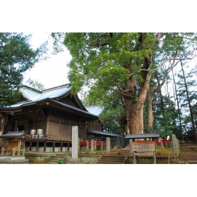 ふるさと納税 神崎町 [返礼品なし]千葉県神崎町ふるさと応援寄付金 (1,000円)
