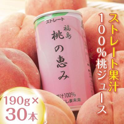 ふるさと納税 伊達市 桃果汁100%ジュース「桃の恵み」 190g×30本