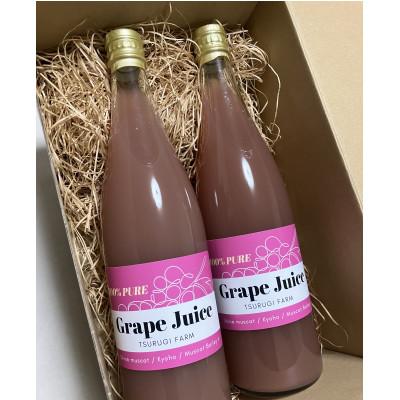 ふるさと納税 富山市 富山県富山市産ぶどう100%ジュース720ml×2本