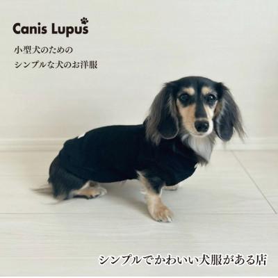 ふるさと納税 佐賀市 オーナー様とお揃いで着られるタオル地パーカー/ブラックMサイズ