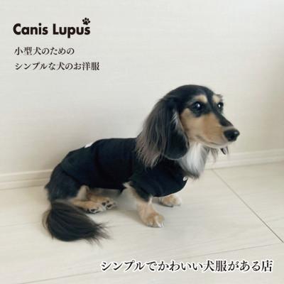 ふるさと納税 佐賀市 オーナー様とお揃いで着られるコットンパーカー/ブラックMMサイズ