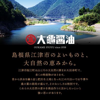 ふるさと納税 江津市 大亀醤油 濃口うす塩醤油 1L×2本(2セット)の画像