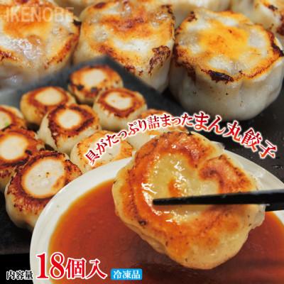 ふるさと納税 常陸大宮市 [ふるさと納税]まん丸生餃子冷凍 約30g×18個入り(1パック 6個入り×3パック)