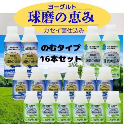 ふるさと納税 山江村 球磨の恵み のむヨーグルト16本セット(山江村)