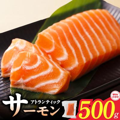 ふるさと納税 泉佐野市 アトランティックサーモン 500g ポーション 小分け 真空パック