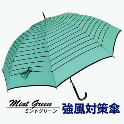 ふるさと納税 田原本町 強風対策 耐風傘 雨傘 レディース 長傘 ボーダー ワンタッチジャンプ 162003 ミントグリーン