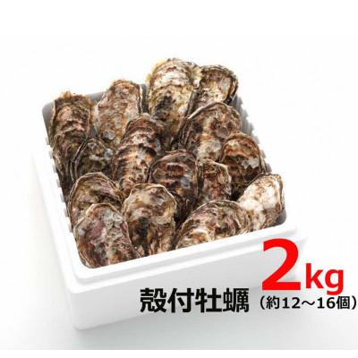 ふるさと納税 大竹市 オレの牡蠣 アミスイ 殻付牡蠣2kg