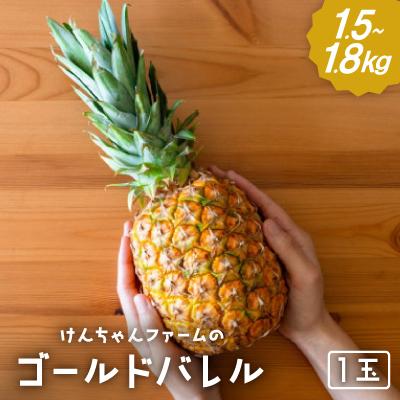 ふるさと納税 本部町 [2026年6月から順次発送]けんちゃんファームのゴールドバレル1玉(1.5kg〜1.8kg)