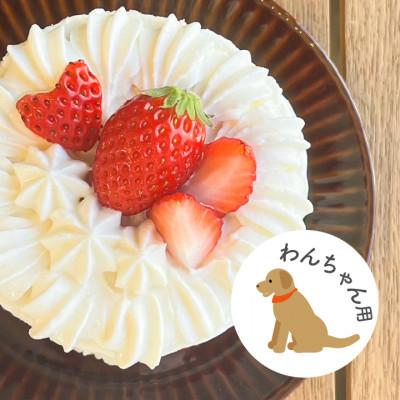 ふるさと納税 御代田町 【2026年発送】愛犬用 完熟いちごネイキッドケーキ Mサイズ 1個の画像