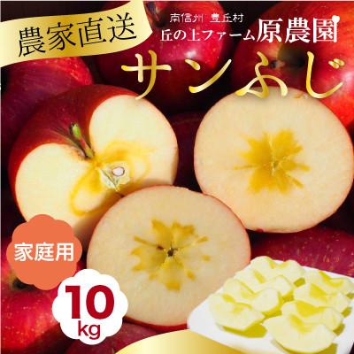 ふるさと納税 豊丘村 [丘の上ファーム]完熟りんご「サンふじ」家庭用10kg(22-36玉) 2025年12月発送