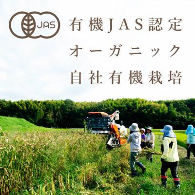 ふるさと納税 奈良市 活性はとむぎ美人茶 有機 60袋入×6個セット(奈良県産・有機JAS認定・ノンカフェイン)の画像