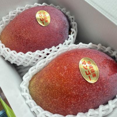 ハッピー　摘果マンゴー⑥ ふるさと納税 南城市 【2026年6月から順次発送】高平農園の完熟