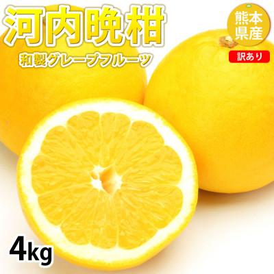 ふるさと納税 熊本市 訳あり河内晩柑 みかん 4kg[2026年3月下旬〜6月下旬発送予定][Foody's](熊本市)