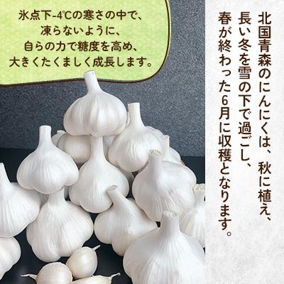 ふるさと納税 十和田市 【テレビ紹介】青森にんにく白玉王1kg (産地