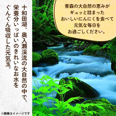 ふるさと納税 十和田市 【テレビ紹介】青森にんにく白玉王1kg (産地