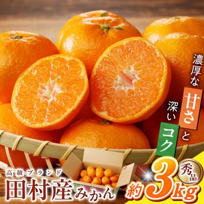 ふるさと納税 湯浅町 [2025年12月上旬より発送]高級ブランド 秀品 紀州有田田村産みかん 3kg