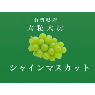 ふるさと納税 南アルプス市 大粒大房!山梨県産シャインマスカット 1房