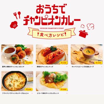 ふるさと納税 野々市市 チャンピオンカレーレトルト甘口180g×40個セットの画像