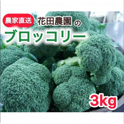 ふるさと納税 鞍手町 朝採れ 農家直送ブロッコリー 10個(3kg以上)