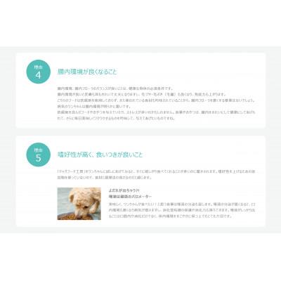 ふるさと納税 八王子市 【無足し加える】楽になること・安全性のある・好いたらしい ドッグフード作業場 3袋仕かける(桜肉素粒子 700g×3)