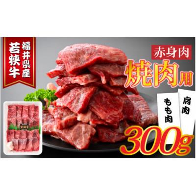 ふるさと納税 福井市 福井県産若狭牛 赤身焼肉 300g 牛脂付き