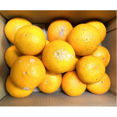 ふるさと納税 印南町 [家庭用]地元印南町産の清見オレンジ約5kg(L〜3Lサイズ15個前後)