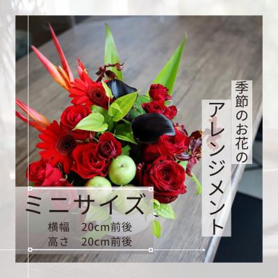 ふるさと納税 筑西市 季節のお花のアレンジメント/ミニサイズ〜花瓶不要!届いてそのまま飾れるフラワーアレンジ