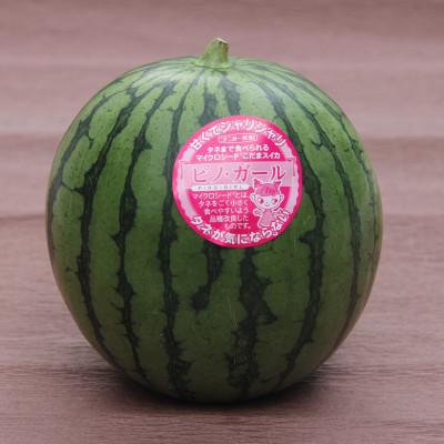 ふるさと納税 栗山町 小玉スイカ「ピノ・ガール」1.5kg×2玉 北海道産〜シャリ甘〜