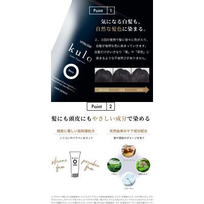 ふるさと納税 精華町 VITALISM バイタリズム カラートリートメント kulo 3本セット (ブラック)の画像