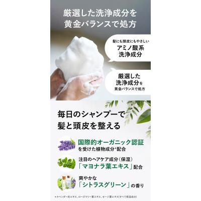 ふるさと納税 精華町 VITALISM バイタリズム メンズスカルプシャンプー\u0026コンディショナー(500ml)\u0026トニック_3
