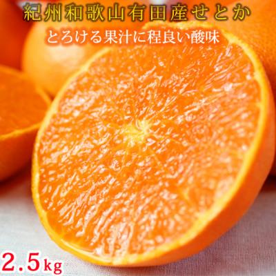 ふるさと納税 美浜町 とろける食感!ジューシー柑橘 せとか 約2.5kg