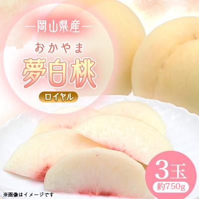 ふるさと納税 早島町 2026年先行予約岡山県産おかやま夢白桃 3玉ロイヤル
