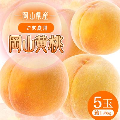 ふるさと納税 早島町 2026年先行予約 岡山黄桃 (ご家庭用)5玉