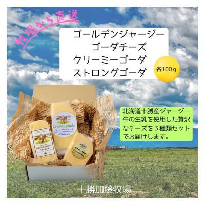 ふるさと納税 帯広市 ゴールデンジャージー ゴーダ&amp;クリーミーゴーダ&amp;ストロングゴーダ 各100g