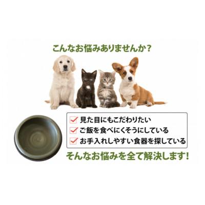 ふるさと納税 常滑市 大切なペットにも常滑焼　ペットボウル (たかを窯)_1