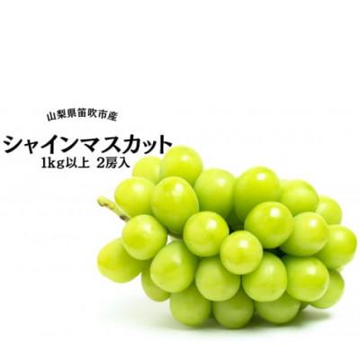 ふるさと納税 笛吹市 葡萄の一大産地!笛吹市産シャインマスカット 1kg以上(計2房)