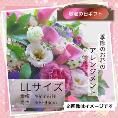 ふるさと納税 筑西市 [敬老の日]季節のお花のアレンジメントLLサイズ〜花瓶不要!届いてそのまま飾れるフラワーアレンジ
