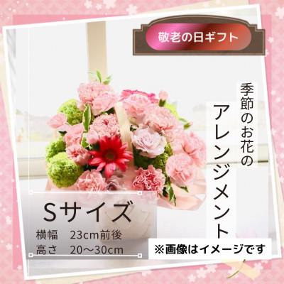 ふるさと納税 筑西市 [敬老の日]フラワーアンジメント/S〜花瓶不要!届いてそのまま飾れるフラワーアレンジ
