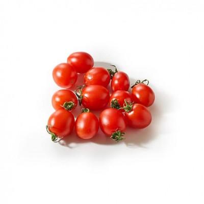 ふるさと納税 大子町 高糖度ミニトマト アイコ 約150g×7pc(茨城県共通返礼品:つくばみらい市)